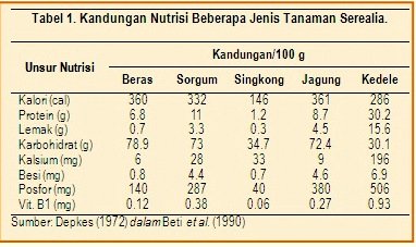 pakan sapi Silase Sorgum (2)